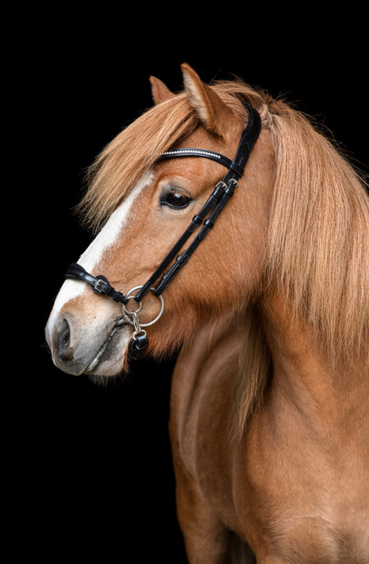 Clip-on Bridle with drop noseband